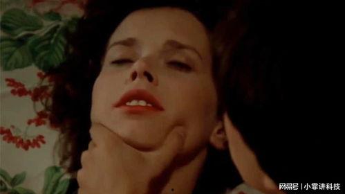 偷窥课程在线观看,偷窥课程在线观看背后的秘密与警示 第3张 偷窥课程在线观看,偷窥课程在线观看背后的秘密与警示 第3张