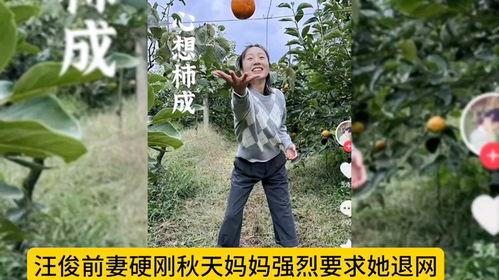 秋天妈妈被爆料最新,真相与争议交织