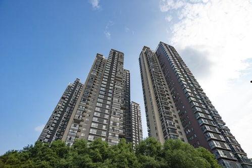 乐山楼市爆料新闻视频